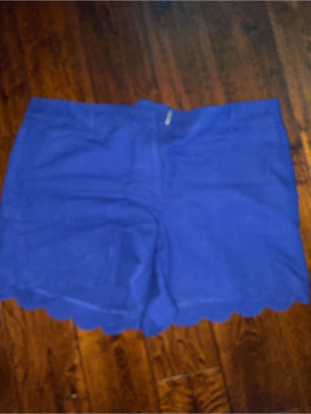 LOFT Scallop Hem Bermuda Shorts in Royal Blue